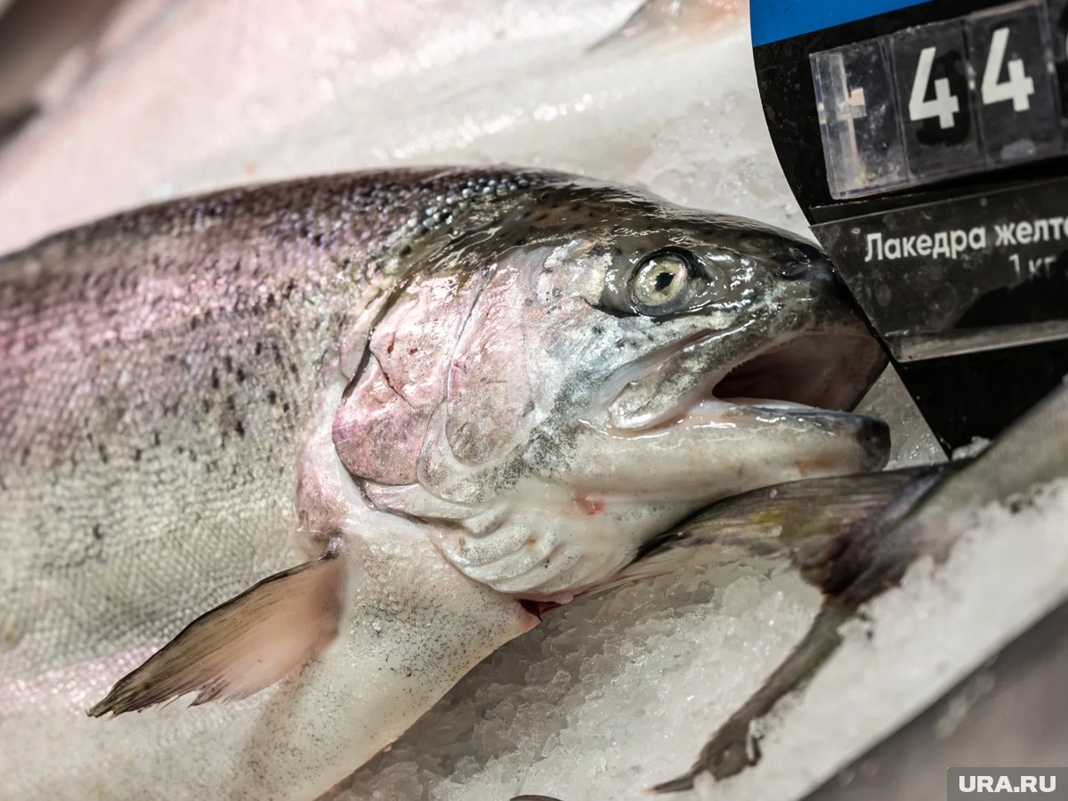 Как выбрать свежую рыбу: советы эксперта