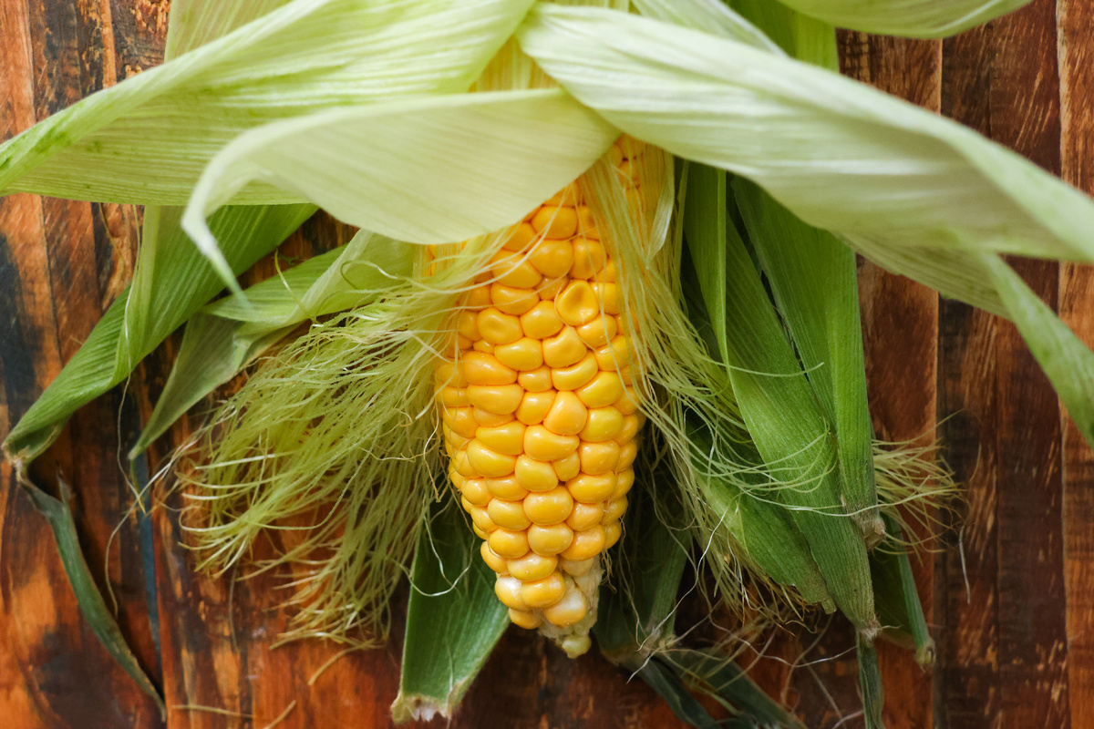 На московских ярмарках завершается сезон кукурузы: 100 тонн продано!