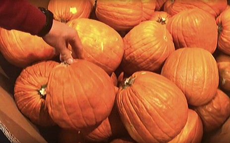 Восхитительный тыквенный пирог: удивительная выпечка за час