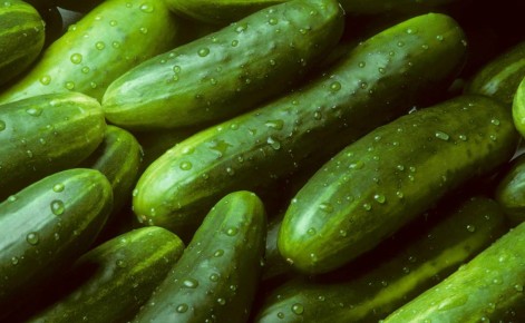 Середина мая: идеальное время для посадки теплолюбивых культур