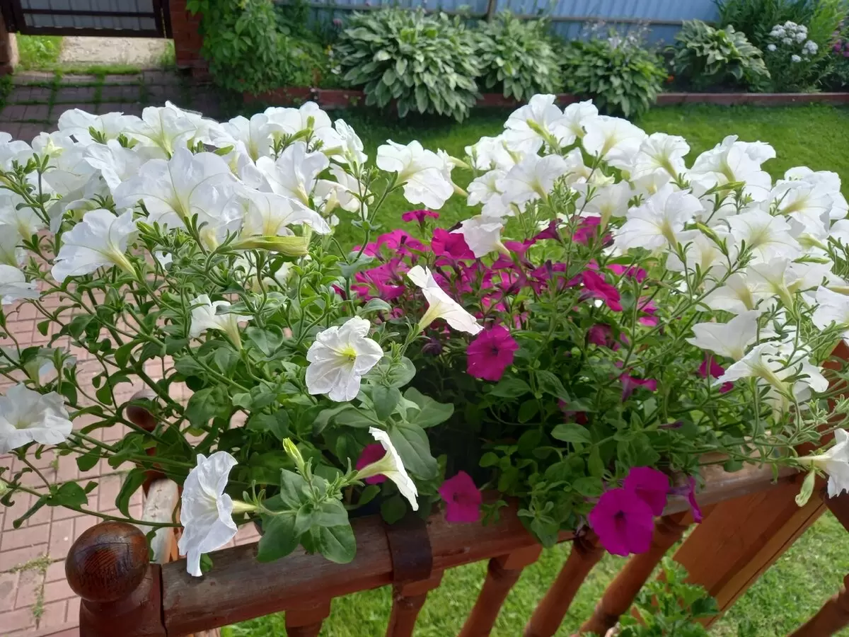 Как экономить на себе: советы и личные истории