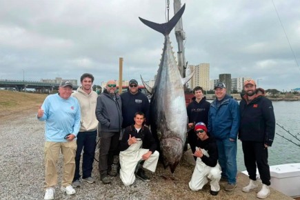 ��������� �����: � ��������� ������� ���� ����� 379 ��