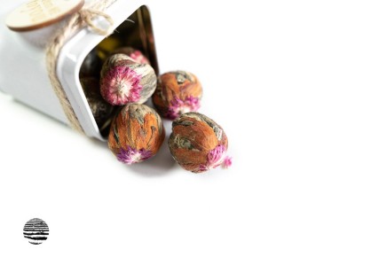 ��� ��������� ��� ������ ����: ����������� � ������������ ������ �������� �������