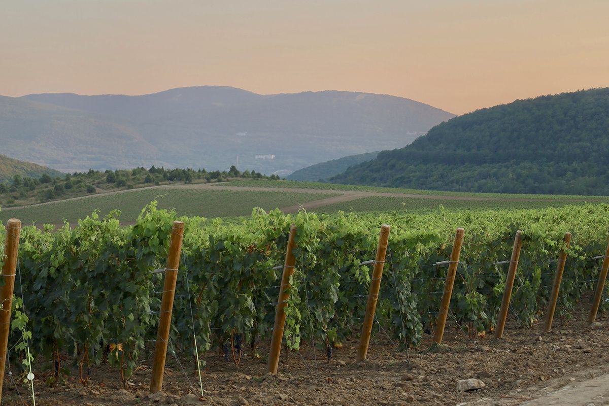 ��� ��������� ������� ����� ���� �� ������������ �����