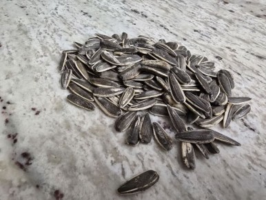 ������� �������: ����� �������� ������� ��� ���������� �����