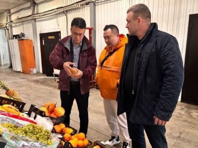 ��������� ���������� ������ �������� ������������ ������� �� ����