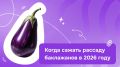 ����� ���������� ������� ����������: ������ �� 2026 ���
