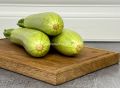 Кабачки без жира: вкусный и полезный гарнир без масла и сыра