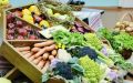 Овощная симфония: ГГАУ запускает уникальный проект о здоровом питании